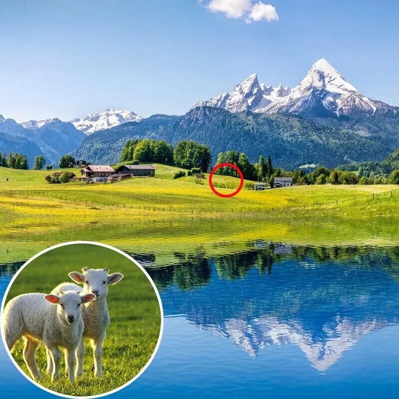 Jumelles De Randonnée 20x Pour Enfants