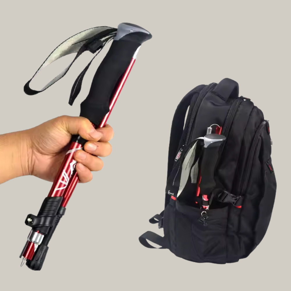 Bâtons De Marche Pour Randonnée